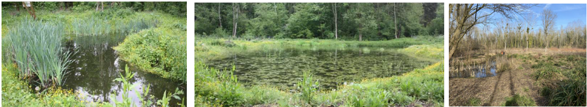 Restauration d'habitats naturels et le maintien des continuités écologiques